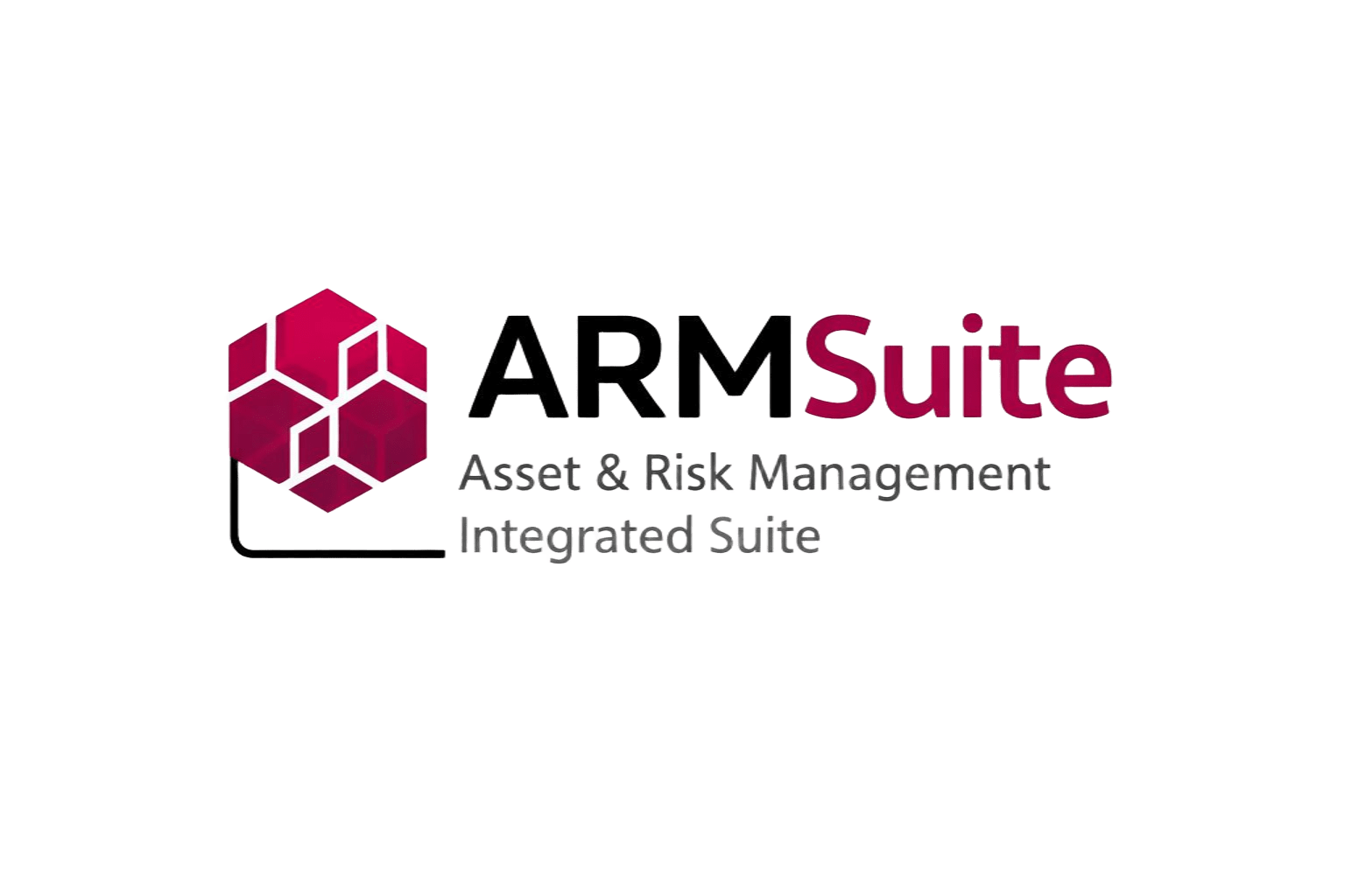 ARMSuite Logo